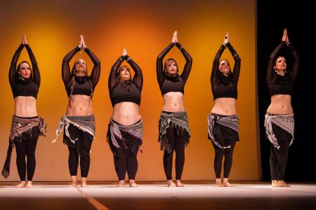 Območna revija plesnih skupin Finesa plesa 2024 (29)